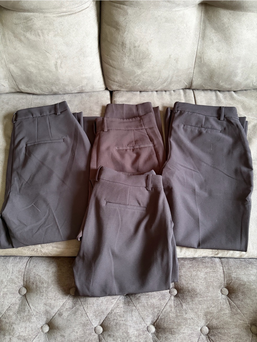 Express Dress Pants